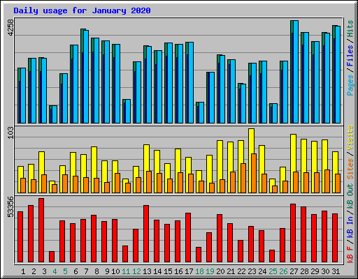 Daily usage for January 2020