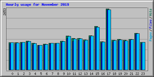 Hourly usage for November 2019