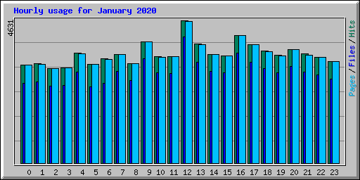 Hourly usage for January 2020