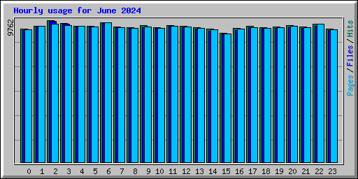 Hourly usage for June 2024