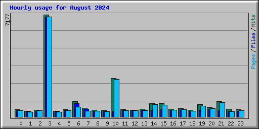 Hourly usage for August 2024