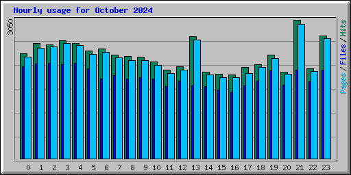 Hourly usage for October 2024